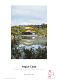 Sugar Cane 300 50" (1,27m) x 12m