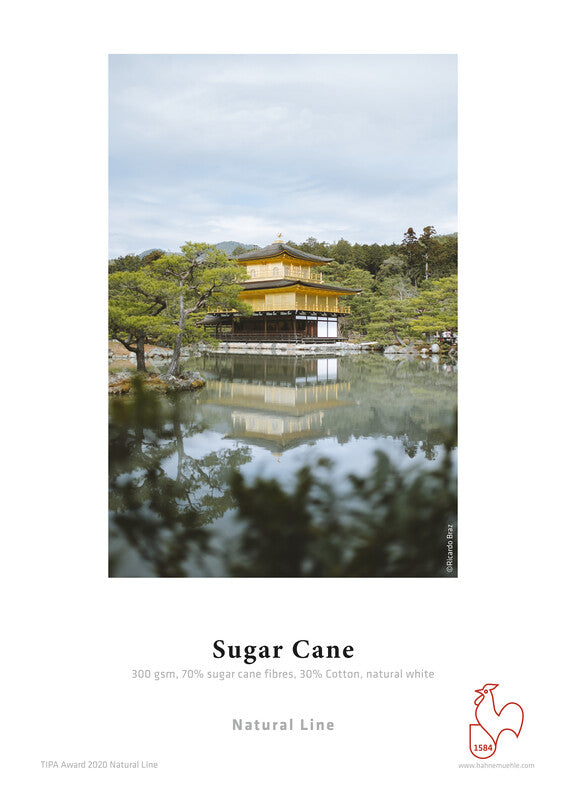 Sugar Cane 300 50" (1,27m) x 12m