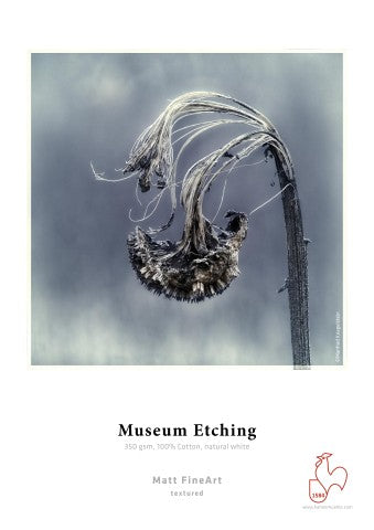 Museum Etching Photo Cards 350 gsm, 100% Cotton, natural white 10x15cm 350gsm 30 Blatt