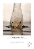 Photo Luster 290 0,61x30m 290gsm 1 Rolle 3 Zoll von Hahnemühle Fotopapier-Rolle mit beschichtetem Finish und hellweißem Look