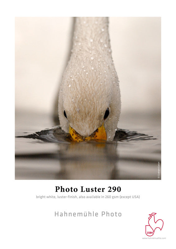 Photo Luster 290 0,61x30m 290gsm 1 Rolle 3 Zoll von Hahnemühle Fotopapier-Rolle mit beschichtetem Finish und hellweißem Look